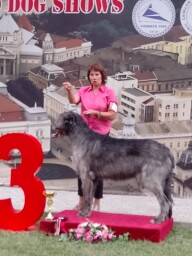 Arad Romania BOG 3